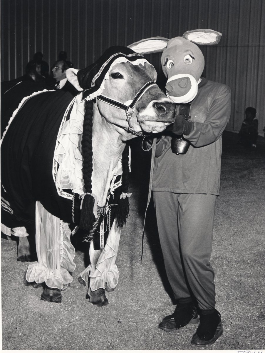 WAStateFairEC's tweet photo. Need a last minute Halloween costume idea? Dress up as your pets/animals - and dress them up as humans. 🐮

#PartyBigWA
#OnlyAtTheFair https://t.co/K5RYoP8HXH