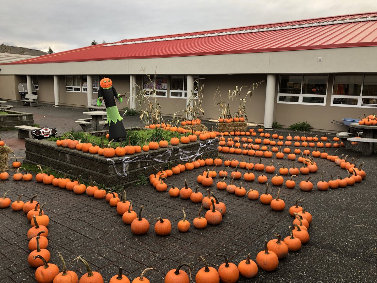 Albion Elementary tweet media