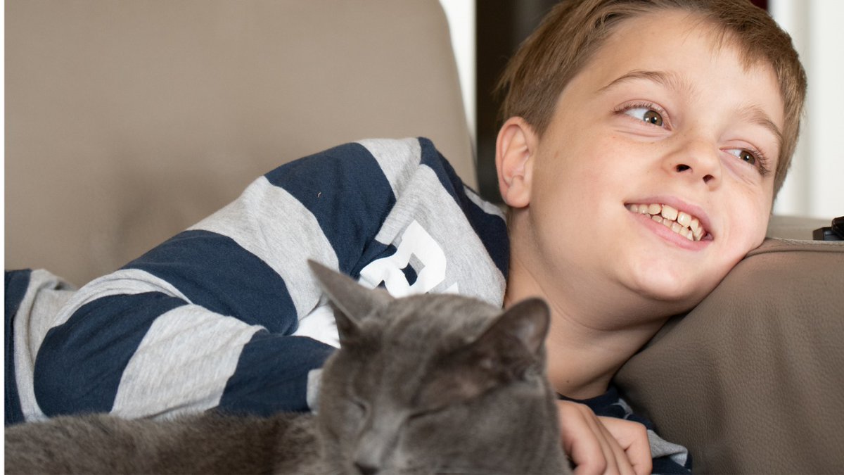 AutismoSmartia's tweet photo. Investigación: La universidad de Rennes estudia la idoneidad de los 😸 como mascotas para niños con autismo. La 👀 mirada el punto fuerte. 😮.Sigue leyendo 👇
https://t.co/kPCnBeq5qJ
#autismo #smartia #mascotas #CatsOfTwitter https://t.co/PxJ2UFaPLc