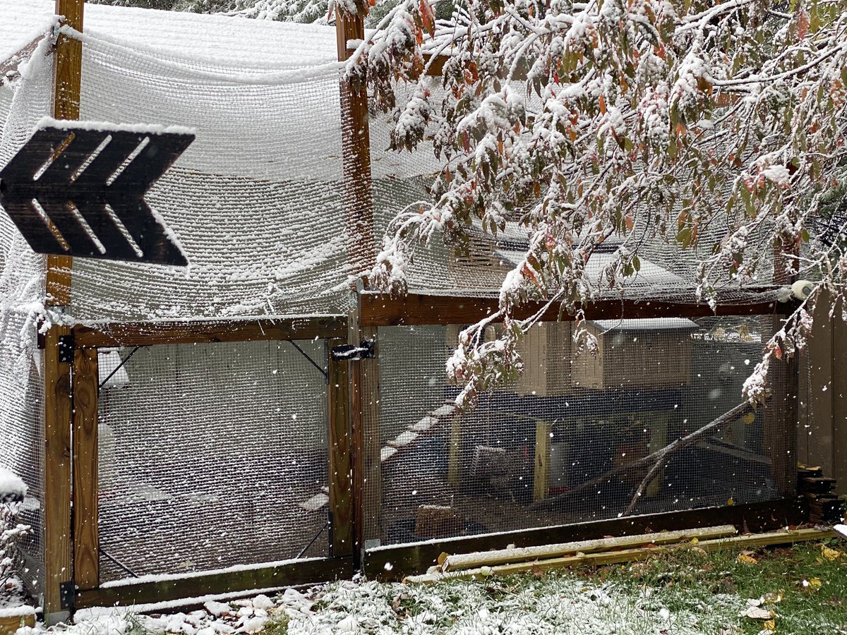 Rodney Davis tweet media