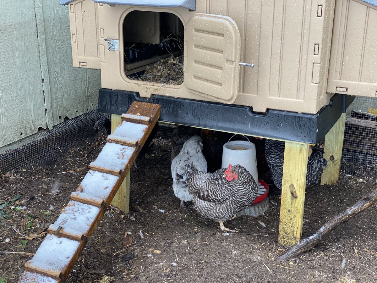 Rodney Davis tweet media