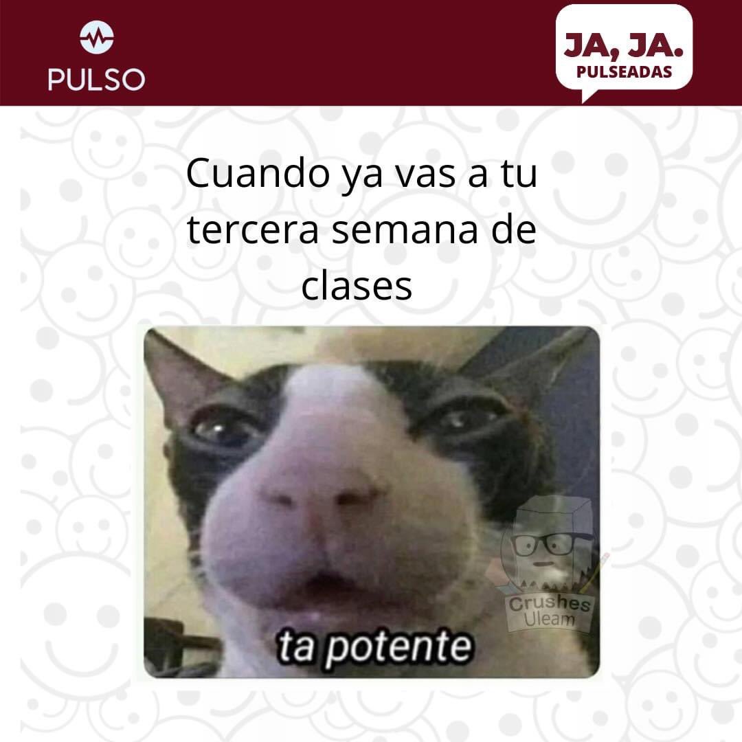 pulsoucuenca's tweet photo. #PULSEADAS https://t.co/1bA03fcQ3U