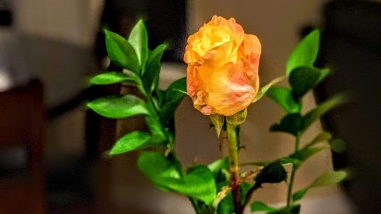 AdamRob54760587's tweet photo. Photo capture and editing is slow and tedious.  We are blessed to have the amazing tools we do to speed up that process.  Art can be found in the simplest of things.  All it takes is a little touch here or there to make a masterpiece.
#ensigncreators2020 https://t.co/7IesyUb8KD