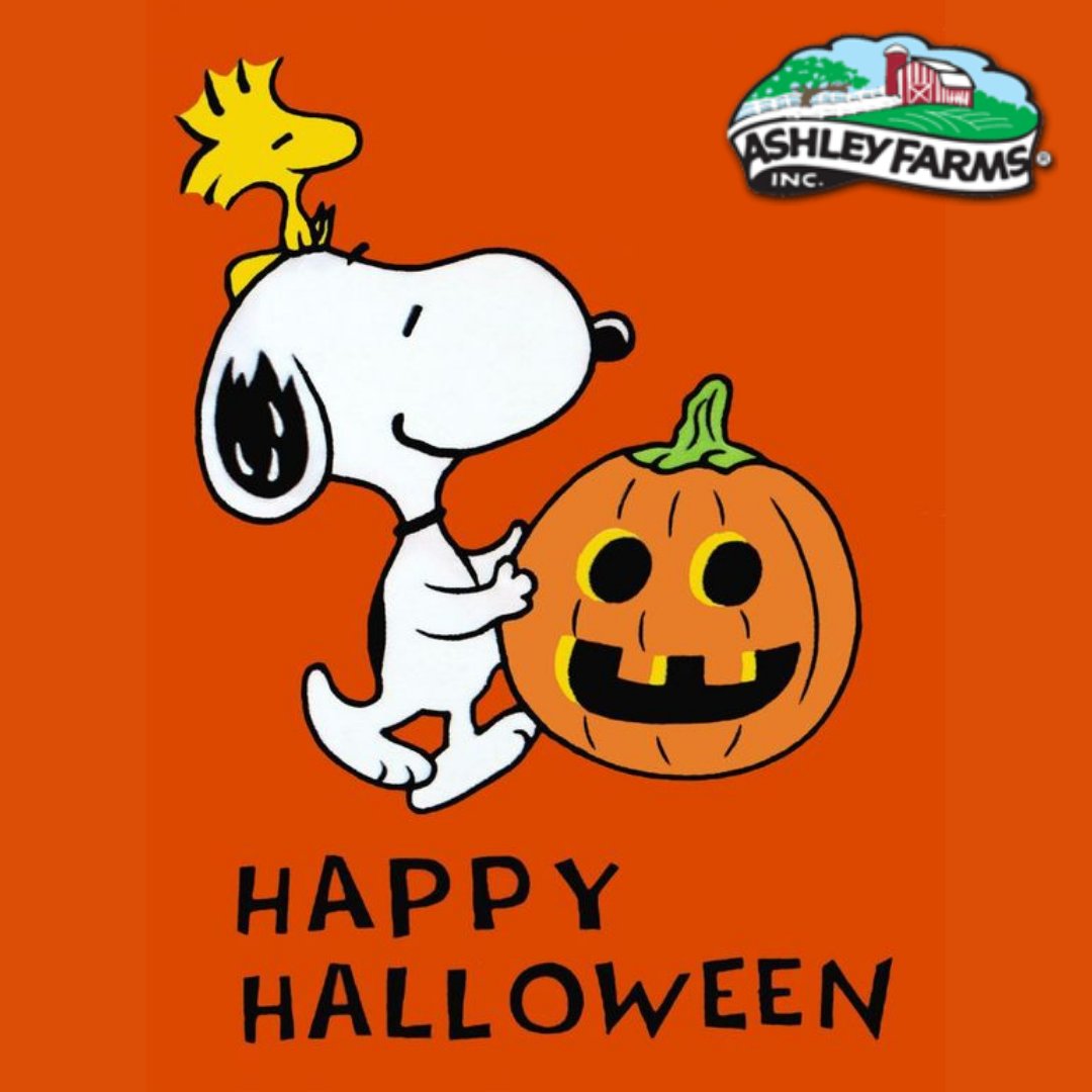AshleyFarms's tweet photo. Happy Halloween from all of us at Ashley Farms! May your festivities be fun and safe! #HappyHalloween #CovidHalloween #TrickOrTreat #Halloween2020 #AshleyFarms https://t.co/AUscegd2Zi