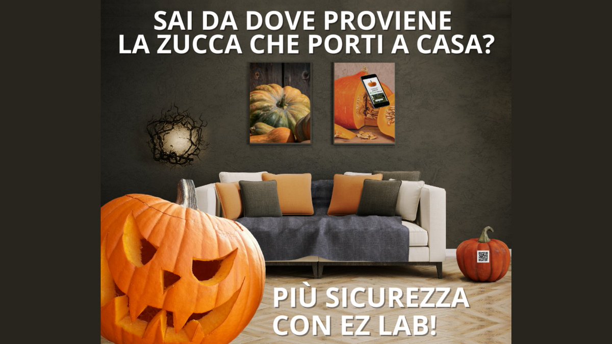 EZLab_solutions's tweet image. Quest&apos;anno è ancora più importante tracciare tutte le &quot;zucche&quot; che entrano in casa! 🎃

#ezlab #blockchainsolutions #agriopendata #halloween #sicurezza #trasparenza #tracciabilità #fiducia #agrichain #agrifood #zucche #Halloween2020