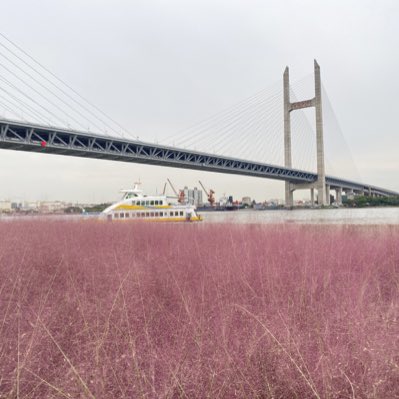wellphong's tweet photo. #新头像 https://t.co/wA2b0Kk24b