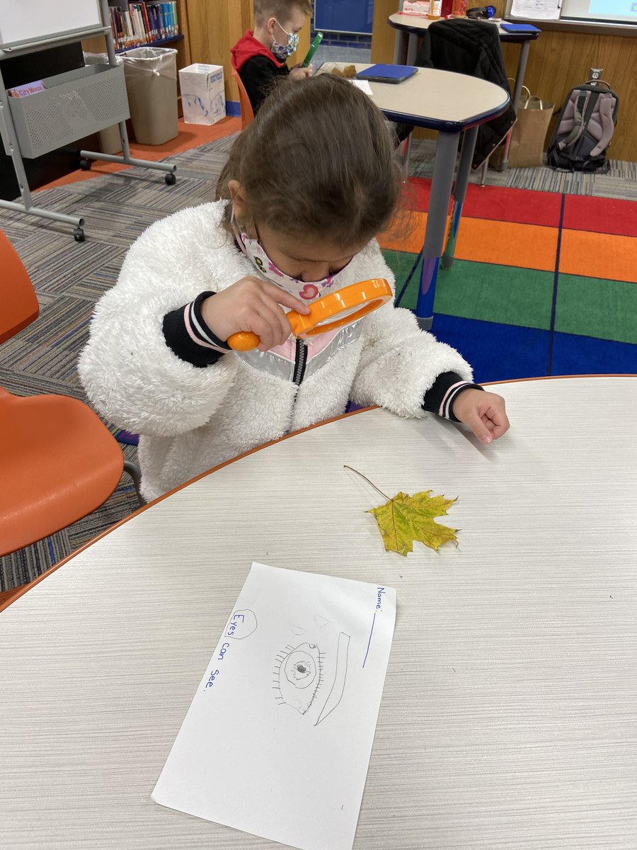 mrsmccabeENL's tweet photo. K students using their sense of sight to describe fall leaves! https://t.co/U3CotnTTIk