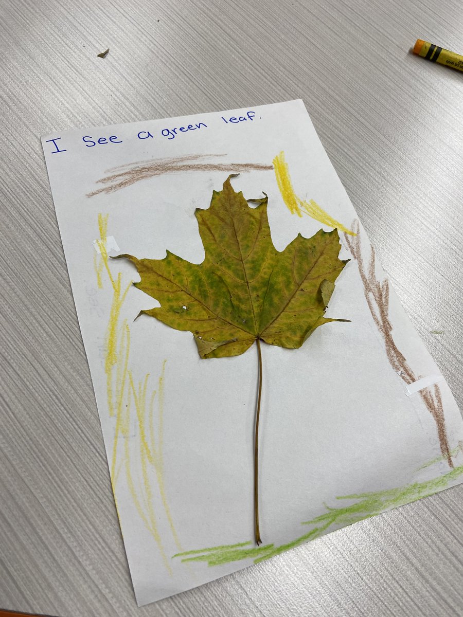 mrsmccabeENL's tweet photo. K students using their sense of sight to describe fall leaves! https://t.co/U3CotnTTIk