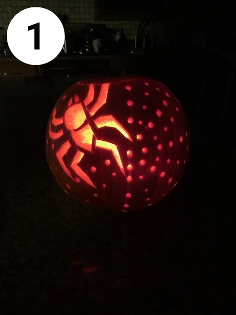 Akron Zips Women’s Basketball tweet media