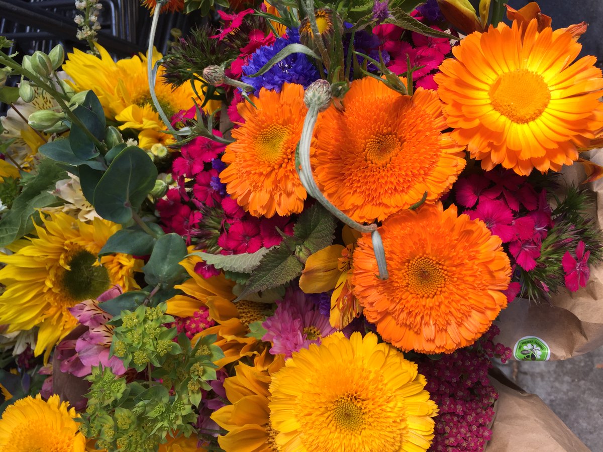 JamesTheWineGuy's tweet image. Anticipating Halloween - here are more orangey/yellowish flowers - wishing you a fantastic Friday and amazing weekend to you #amazingweekend