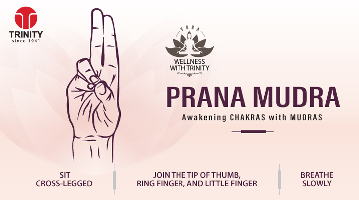 pharma_trinity's tweet photo. Prana Mudra 
#hastaamudra #mudras #chakras #yoga #Pranayama #yogainspiration #yogapractice #yogagirl #yogaathome #pranayamas #pranayamabreathing #pranayamayoga #healthyfood #healthylifestyle #healthyeating #Pharmaceuticalcompaniesinindia #wellness #healthandwellness #healthnews https://t.co/aITu6IWpYC