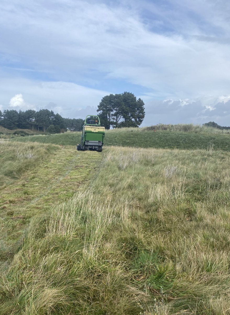 Hillside_Greens's tweet photo. The wettest week we can remember in a long time takes us to within touching distance of 200mm of rain for the month. Lots of staff taking some well deserved Covid holidays while the reduced team have worked wonders to keep the course open for members and guests @Hillside_GC https://t.co/PwHCb0diDO