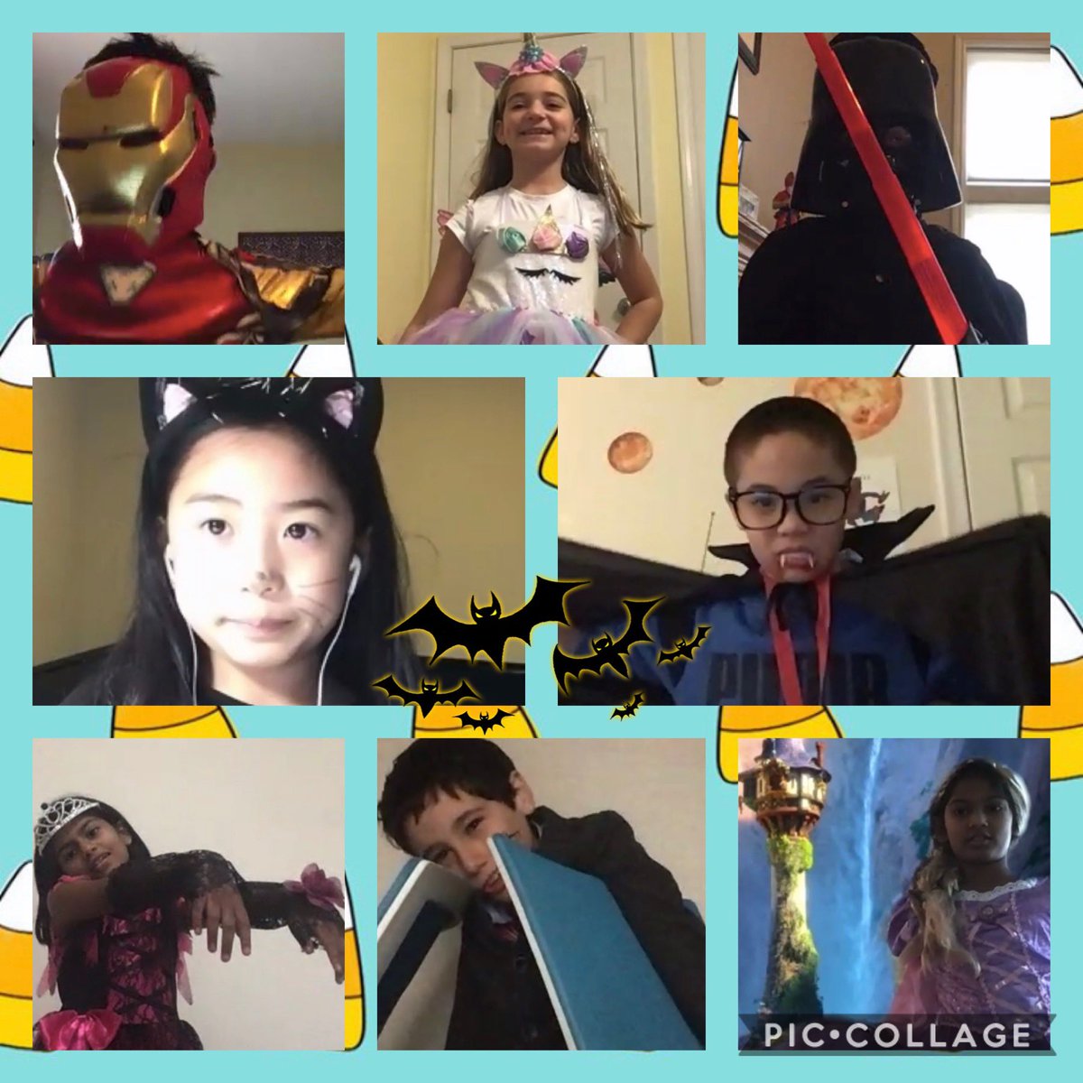 Caitlin Bringardner tweet media