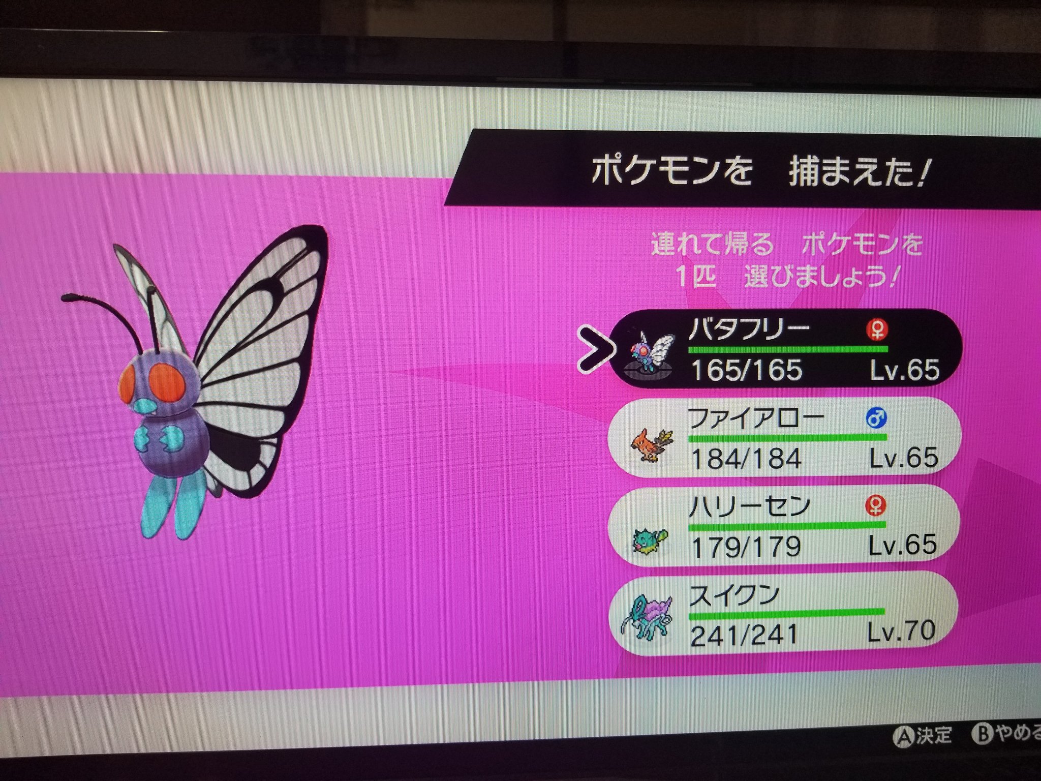 ゆい ぐちこ ポケモン冠の雪原に入ったけど 最初のダイマックスアドベンチャーで持ち帰るポケモンで盛大に迷ってる ずっと欲しかったキョダイマックスできるバタフリーか普通のスイクンか 私はランクバトルも興味ないしスイクンも特に好きじゃないし