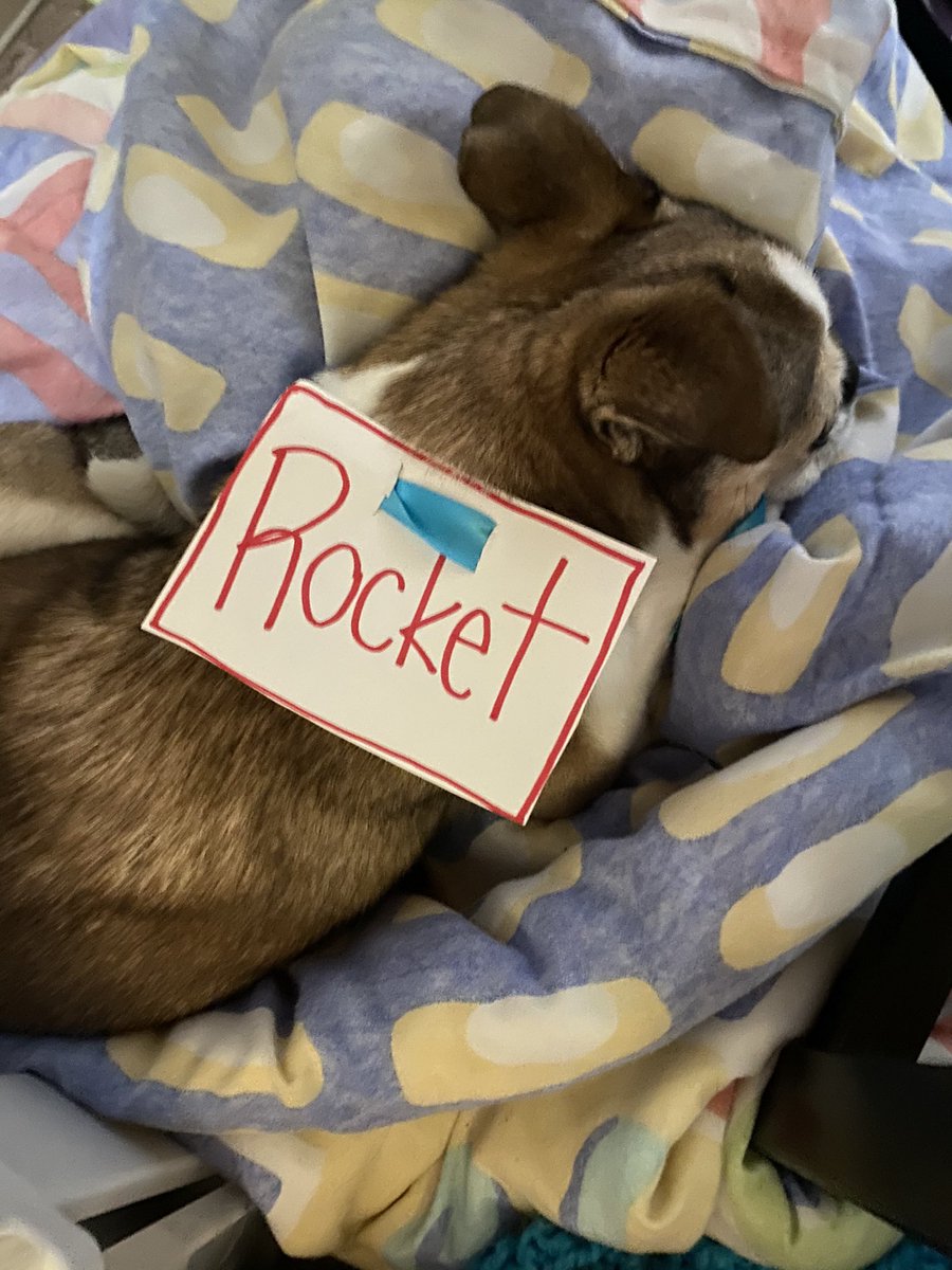 Emily Ladd tweet media