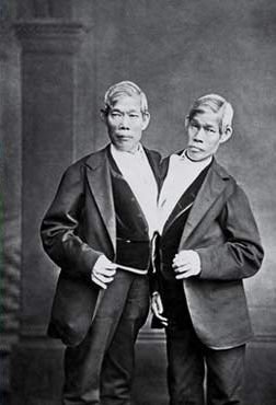 Other than Andy, two of the most interesting people to have ever lived in Mt. Airy are conjoined twins Eng and Chang Bunker. They moved to Mt. Airy in 1839 to escape the limelight of people interested in their condition. They married two women and ended up fathering 21 children!