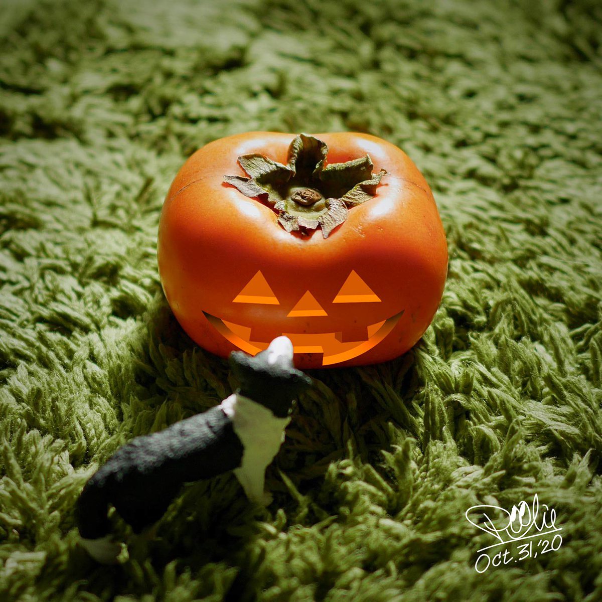 Poolie82's tweet photo. Happy Halloween
#illust #illustration #illustrator #イラスト #イラストレーター #素振り #suburi #Halloween #柿 #persimmon https://t.co/eICQg0G6ML