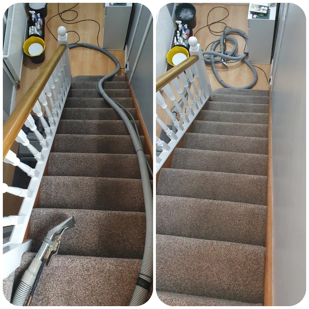 PROFESSIONAL CARPET CLEANING SERVICES