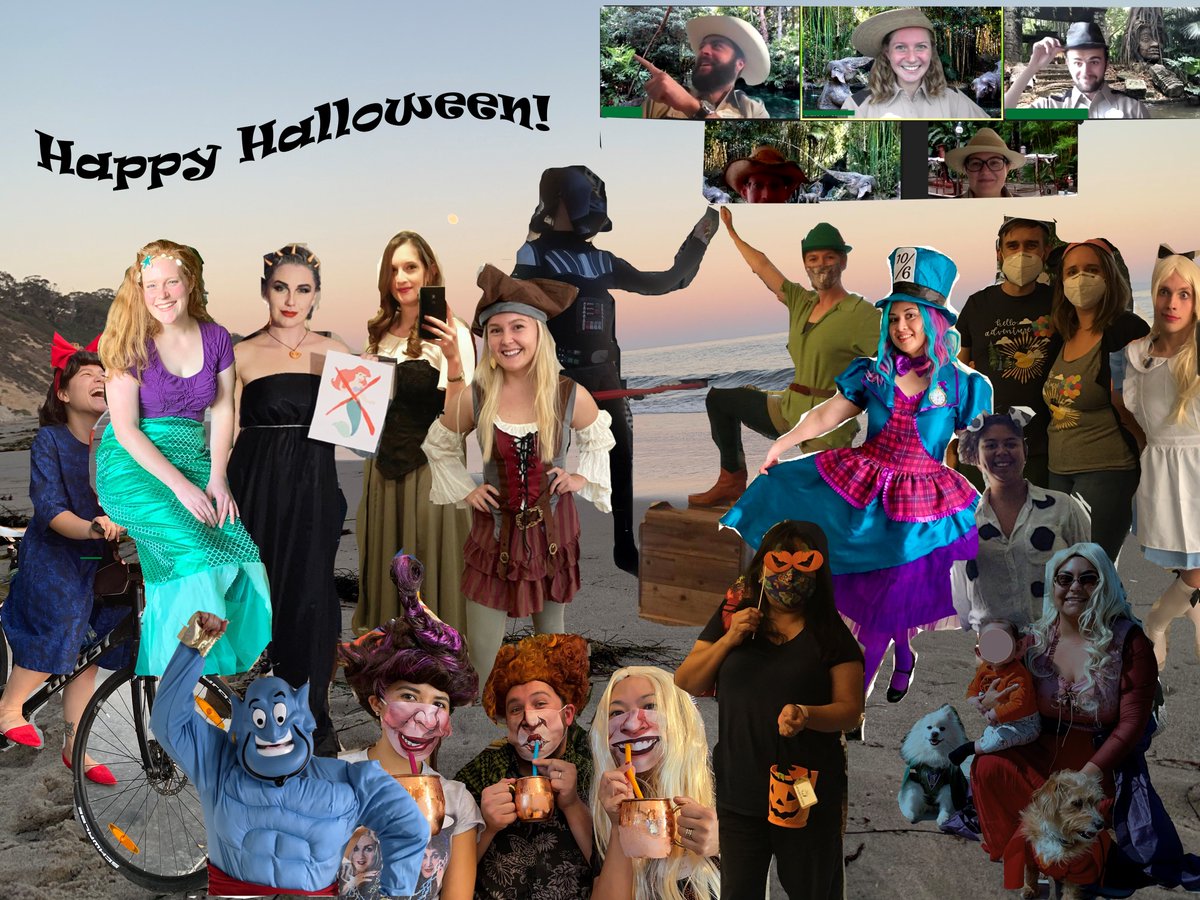 MedBridgeSB's tweet photo. Not even social distancing can keep us from our annual costume competition. Happy Disney Halloween from MedBridge! https://t.co/cTmF6PifB4