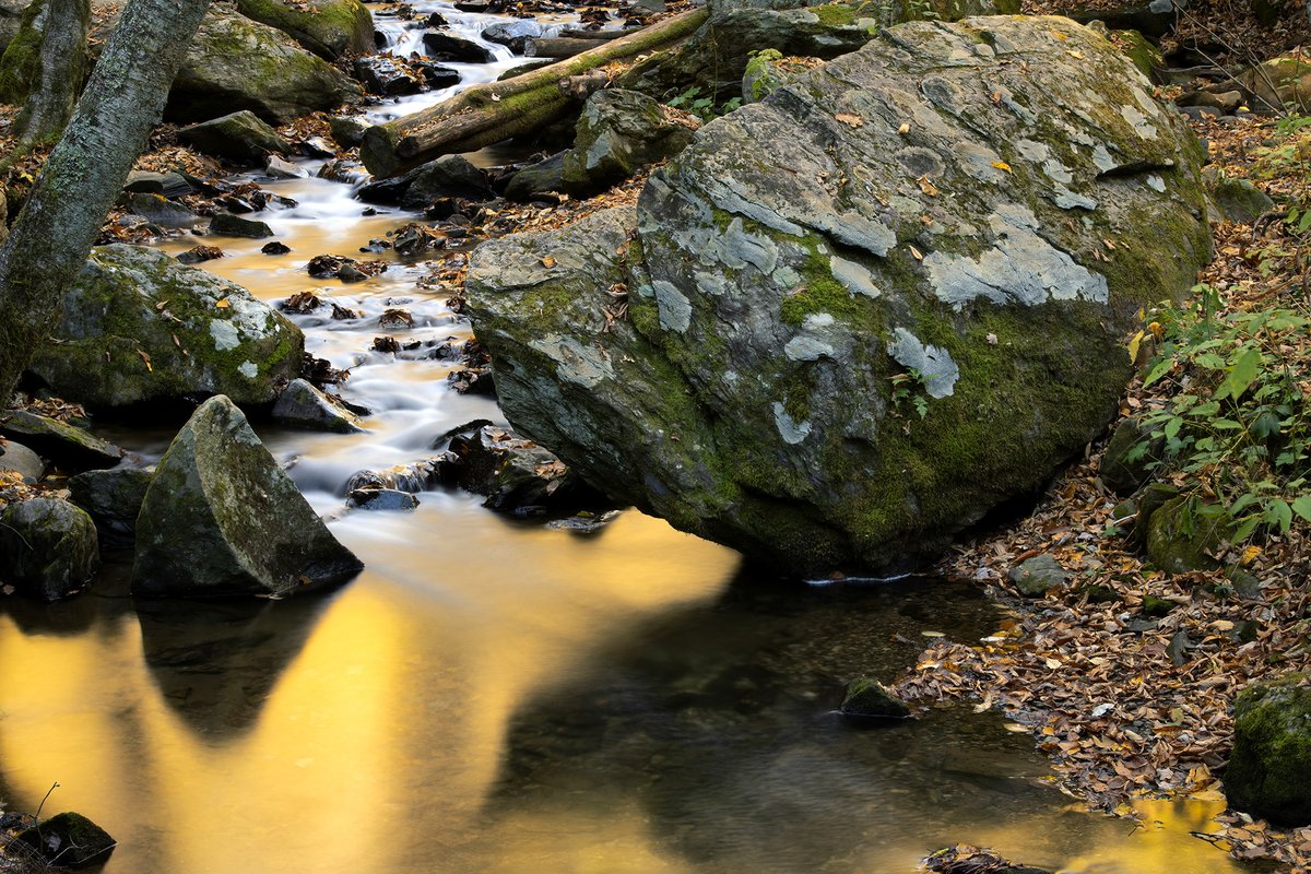 GrandfatherMtn's tweet photo. Fallen leaves rest along a creek side on the #GrandfatherMtn Profile Trail, while reflections in the water cast a different sort of #fallcolor.

#fallcolor2020 #autumn #nature #fall2020 #ncmountains #VisitNC

Photo by Skip Sickler | Grandfather Mountain Stewardship Foundation https://t.co/jkPza3ODMT