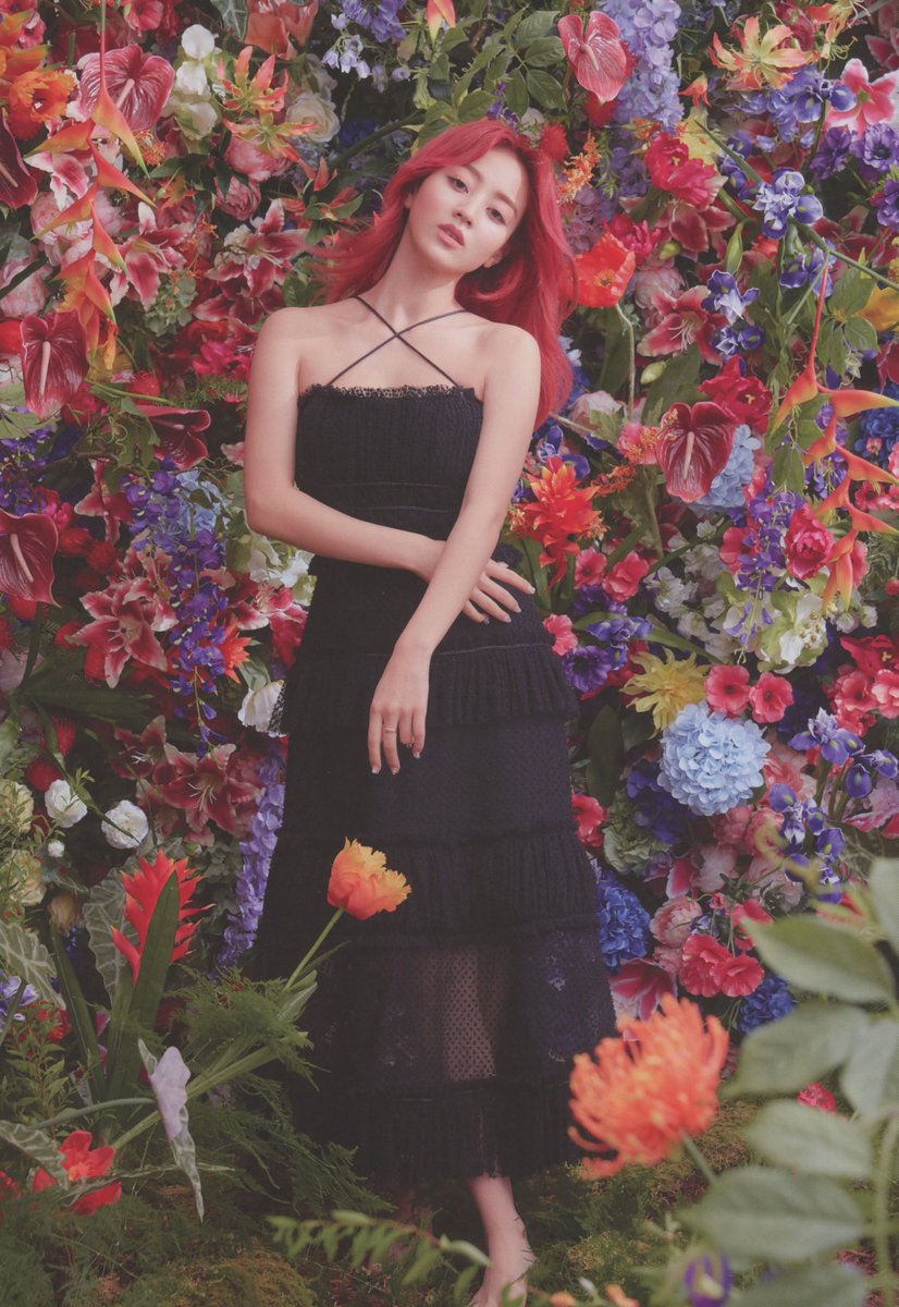 njmsjmdct2's tweet image. [SCAN] TWICE 2nd full album Eyes wide open Photobook (ver. Story)

Jihyo
(page 24, 25, 26, 65)

#지효 #ジヒョ #JIHYO #志效