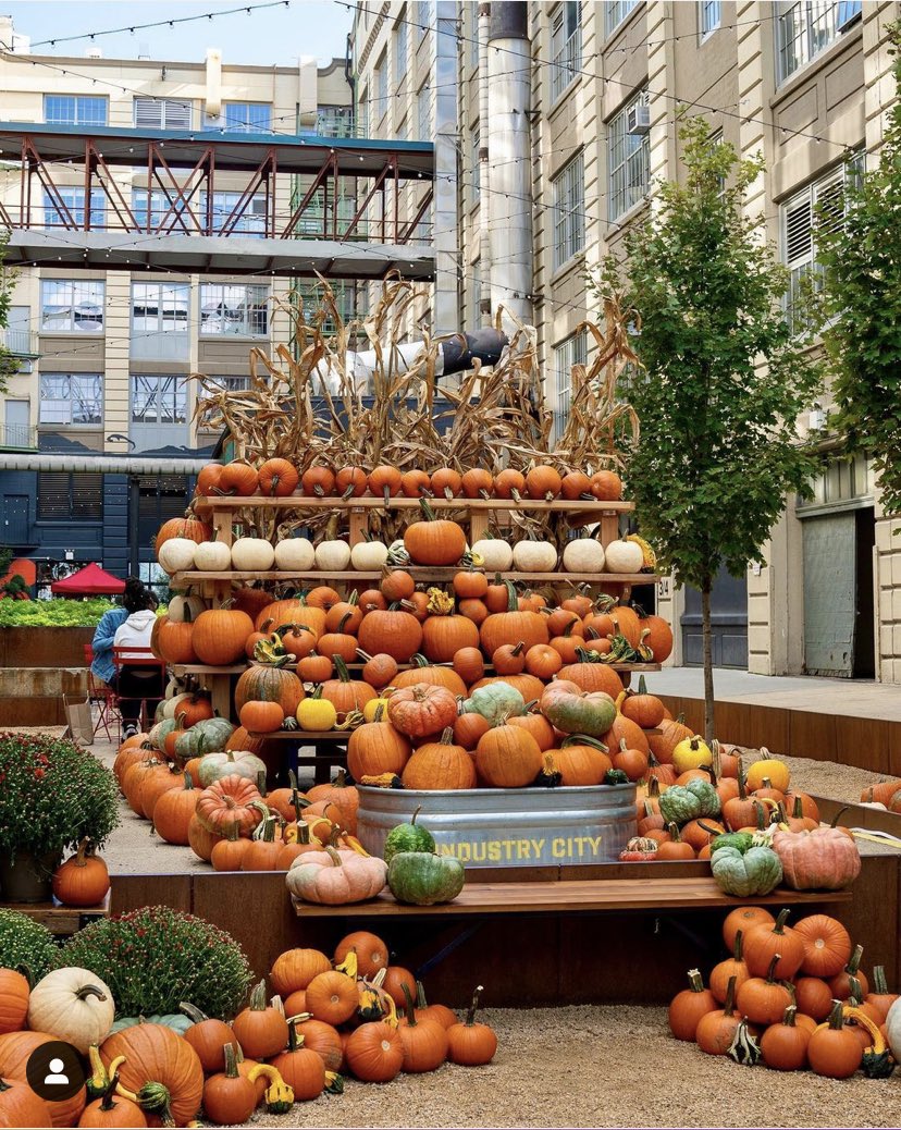 The seasonal display at Industry City, in the #SunsetPark section of #Brooklyn, is once again spectacular! #asliceofbrooklyn