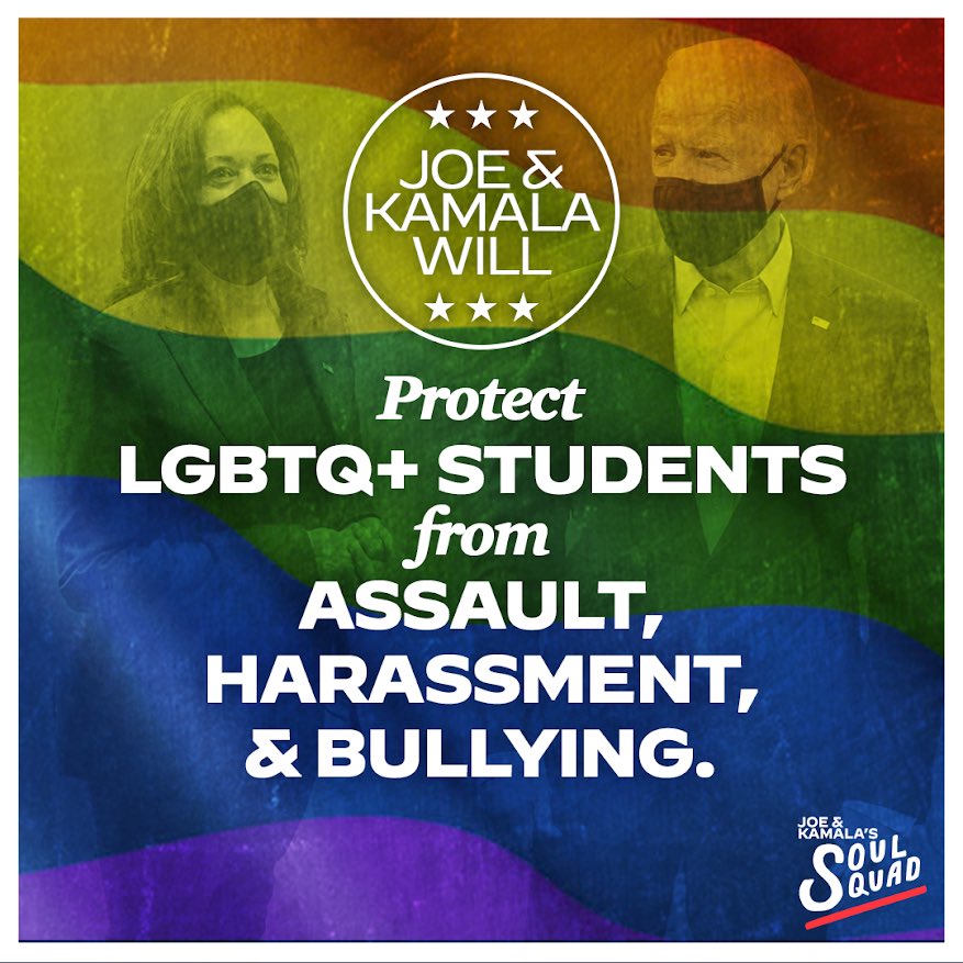 HSVLGBTDems's tweet photo. I'm voting for #BidenHarris2020.  What issue is most important to you? #IWillVote #ImVoting4Joe https://t.co/TP4e7EY4Gm
