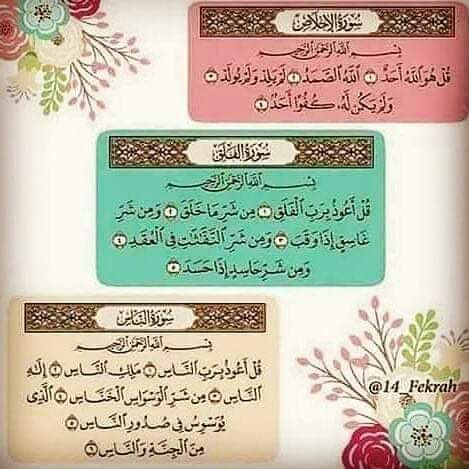 🧡 tweet media