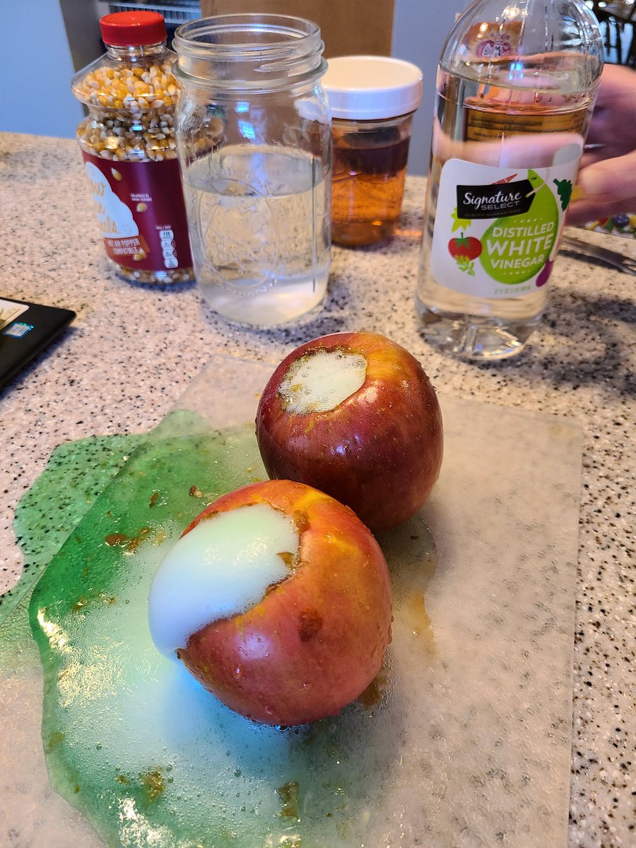 HeatherLiputVV's tweet photo. #sciencefun #poisonapples #enjoytheview @HeatherLiputVV @VV_Voyagers https://t.co/BUJveSD8ws