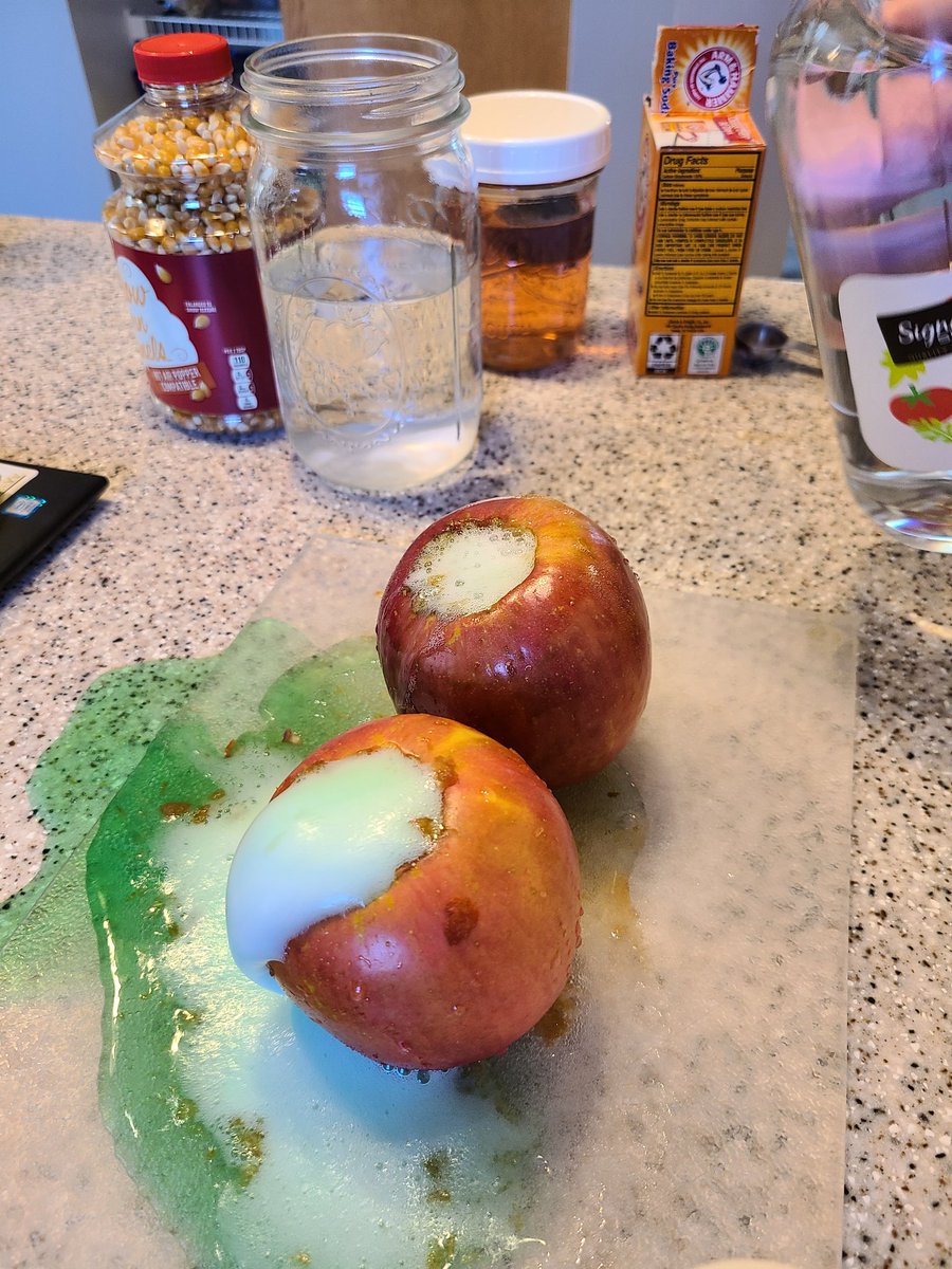 HeatherLiputVV's tweet photo. #sciencefun #poisonapples #enjoytheview @HeatherLiputVV @VV_Voyagers https://t.co/BUJveSD8ws