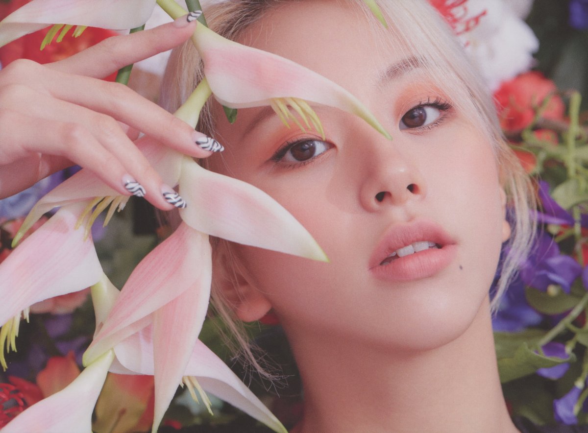 njmsjmdct2's tweet image. [SCAN] TWICE 2nd full album Eyes wide open Photobook (ver. Story)

Chaeyoung
(page 36, 37, 38, 68)

#채영 #チェヨン #CHAEYOUNG #彩瑛