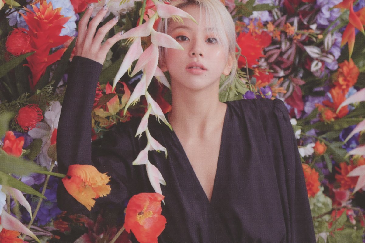 njmsjmdct2's tweet image. [SCAN] TWICE 2nd full album Eyes wide open Photobook (ver. Story)

Chaeyoung
(page 36, 37, 38, 68)

#채영 #チェヨン #CHAEYOUNG #彩瑛