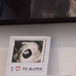 hailsrhodde's tweet image. A Hailey é muito tia babona FALA SÉRIO #JBNextChapter