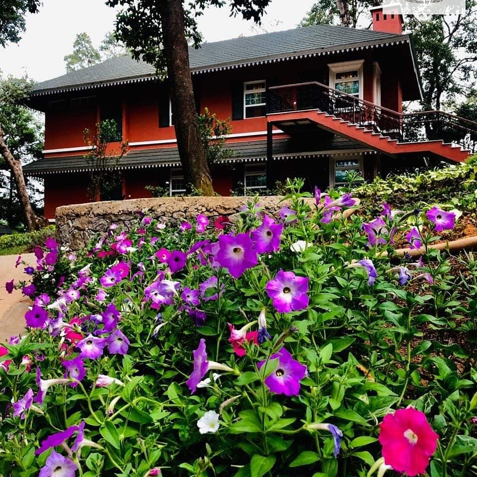 ManikumarTweet's tweet photo. Experience the hills and valleys shrouded with colourful, rare and exotic flowers. The blanket of greenery and the tall tropical trees form a exotic tropical mix at Coorg Wilderness Resort. 
Hurry to book your suites at Coorg Wilderness Resort 
Book now at https://t.co/aso7OOMvTF https://t.co/W8GEC0Ogtg