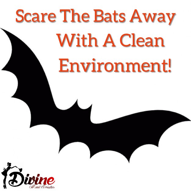 DivineMaids's tweet photo. Scared The Bats Away With A Clean Environment! 🎃🎃🎃🎃
☎️ (833)777-8340 
https://t.co/xIWGldaGBv
LIKE our FACEBOOK @DivineMaids
FOLLOW our INSTAGRAM @DivineMaid #cleaningservice #MaidService #HomeCleaing #DivineMaids #DivineMaidServices #housemaid #commercialcleaning #Halloween https://t.co/AVW8LsbRd0