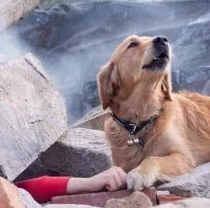 #izmir #deprem iyi günde kötü günde hep yanımızdasınız 🙏