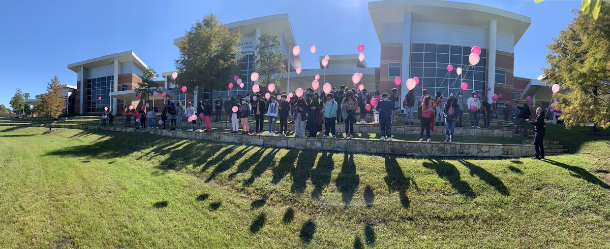 Thomasina tweet media