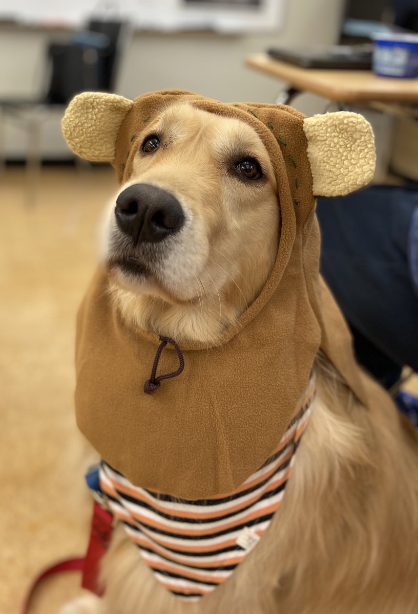 Happy Halloween 🎃!  ❤️ Jeter <a href="/TanyaEMcDonald/">Dr. Tanya McDonald</a> <a href="/SHS_M_A_P_S/">Ville MAPS Program</a> <a href="/scotthade/">Scott E. Hade</a>