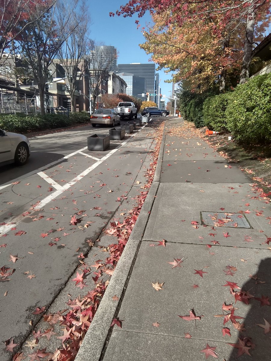 6reenRR's tweet photo. New bike barriers on 108th approaching main st from the south. Big improvement over green paint!
Thanks @BvueTrans - #bikebellevue https://t.co/lFrMMJz7yV