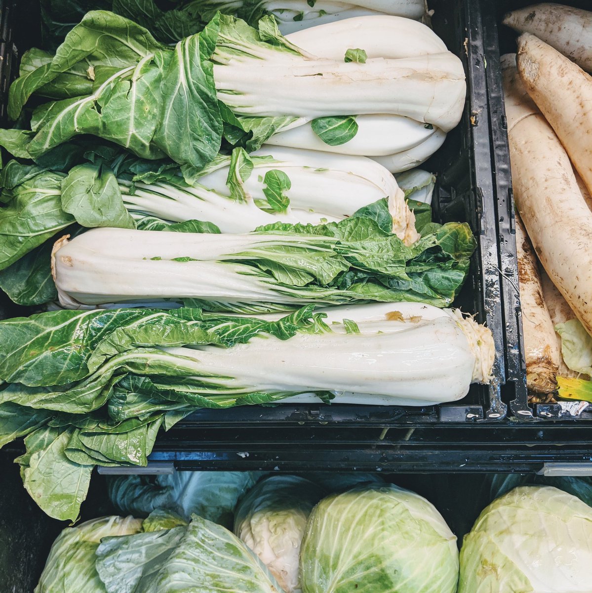 Also, I will be cooking one other recipe tonight. I'll give you a hint. Today, I asked a lady at the grocery store whether this vegetable was a leek. It is apparently bok choy.