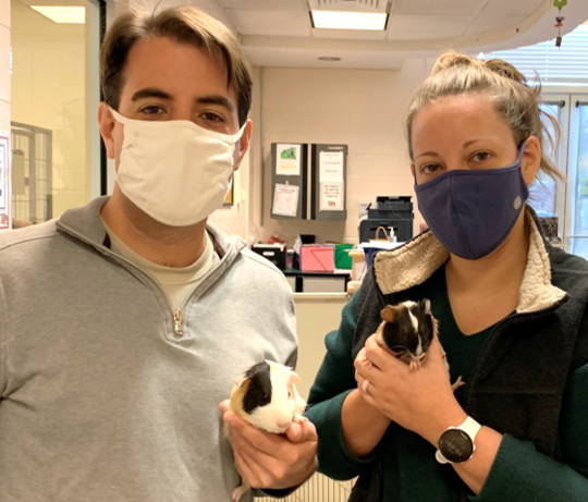 cthumane's tweet photo. Grace and Cookies came in with a few other members of their piggie family, and it was clear these two were close as can be. They're mother and daughter, and now they've found a home together! #DoubleAdoption #SNElovespets #CThumane https://t.co/AJF2WPHl7a