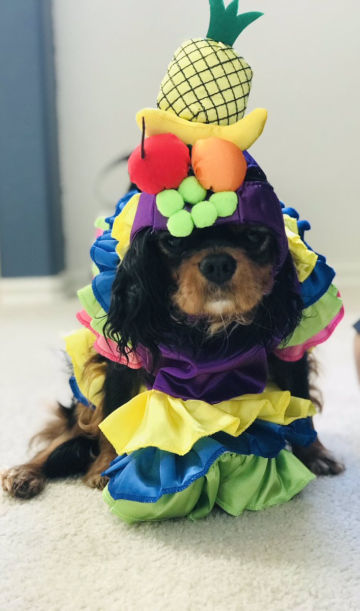 How we're feelin' about Halloween this year