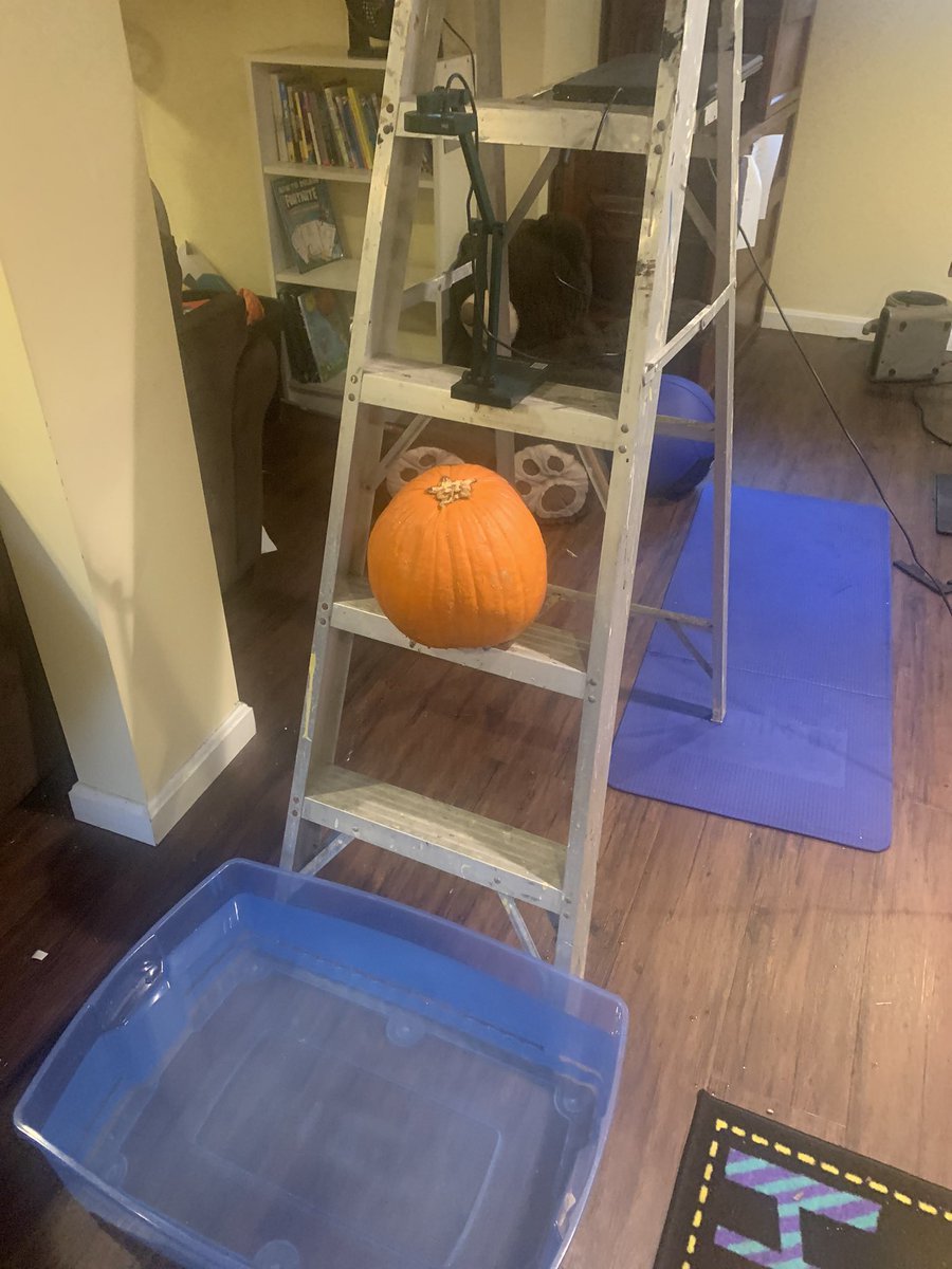 MrsKane722's tweet photo. Not in person to do our pumpkin #sinkorfloat experiment? No problem with a ladder, doc cam and 3rd chromebook! 😂 #makeaprediction #itfloats #fallfestivalfridayfun #virtualkindergarten https://t.co/y3ca5fgyvD