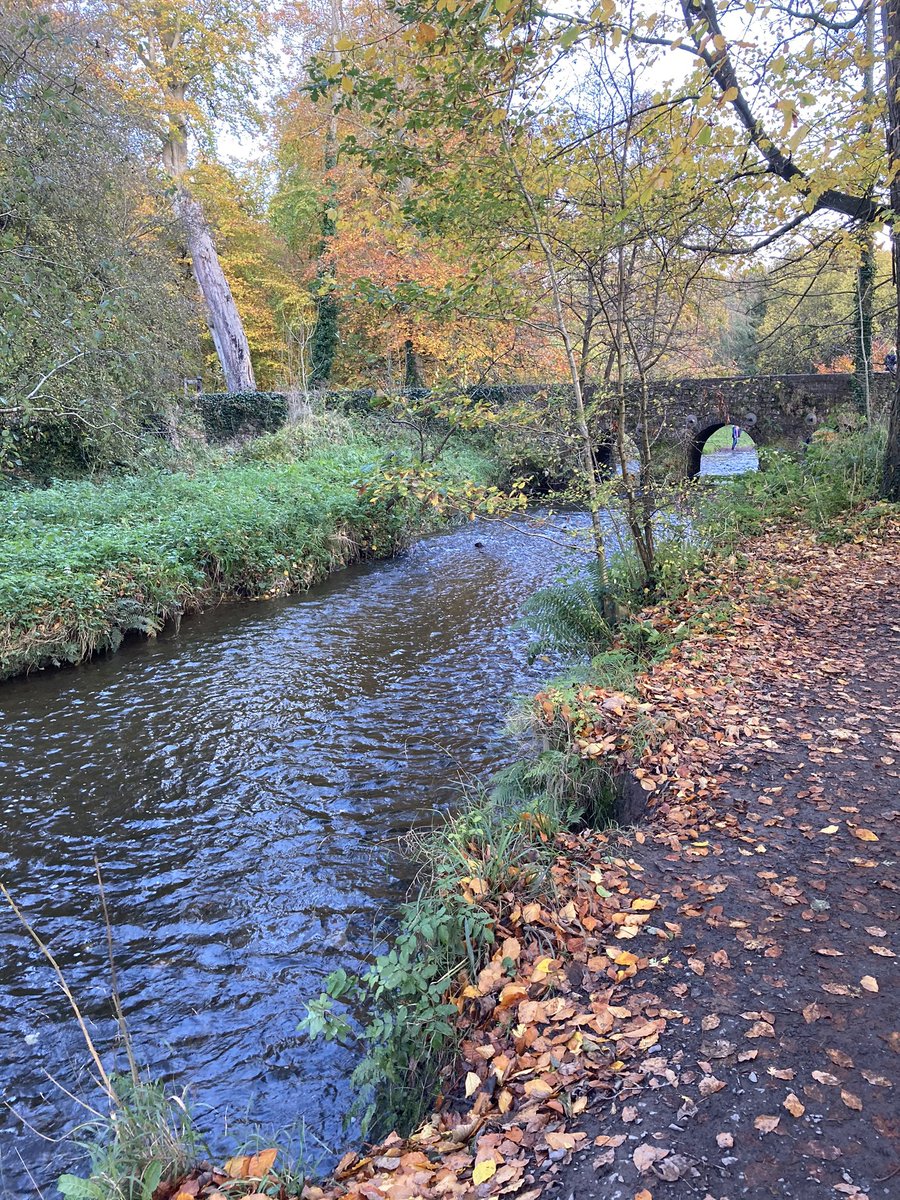 alicearts14's tweet photo. A wonderful walk in the afternoon sunshine today. #ShawsBridge #Belfast https://t.co/jXXc2mZOZl