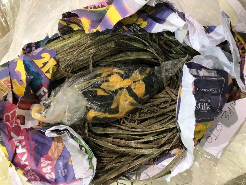 CBPMarkMorgan's tweet photo. Just this week, @CBP agents and officers seized:
▪️ 480lbs of cocaine in CA: https://t.co/16JnZ3KEjb
▪️ 114lbs of cocaine in TX: https://t.co/xtVvg4ijql
▪️ 198lbs of meth and 84lbs of cocaine in ID: https://t.co/5QlPi7gGsX
▪️ 35g of hashish in VA: https://t.co/5m34W7Vi7G https://t.co/P3lxSpwuuZ