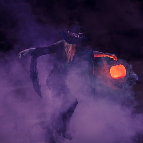 _Xclusive1's tweet photo. #FortMyers Look what I found on Townview!
Halloween Party
https://t.co/EKvYj4tHgd via @townview_
Download the app now: https://t.co/kXjAK0NRKg https://t.co/UPpU6FYHoq