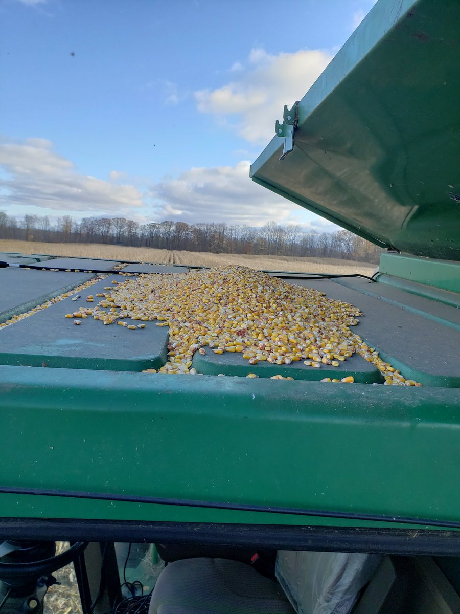 Well,  might as well get this over with on the first day.  #cabcorn #ontag