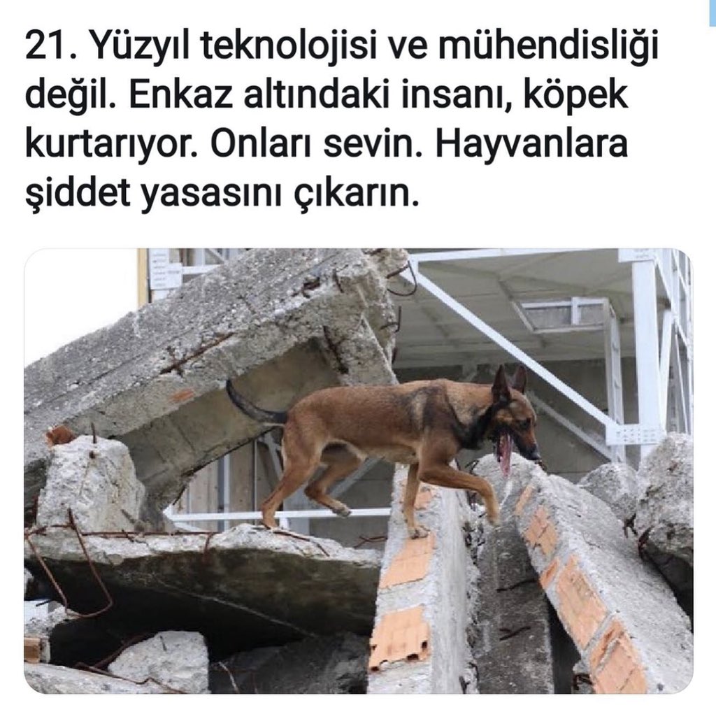 folelse's tweet photo. https://t.co/tKDYr4x2Mm
