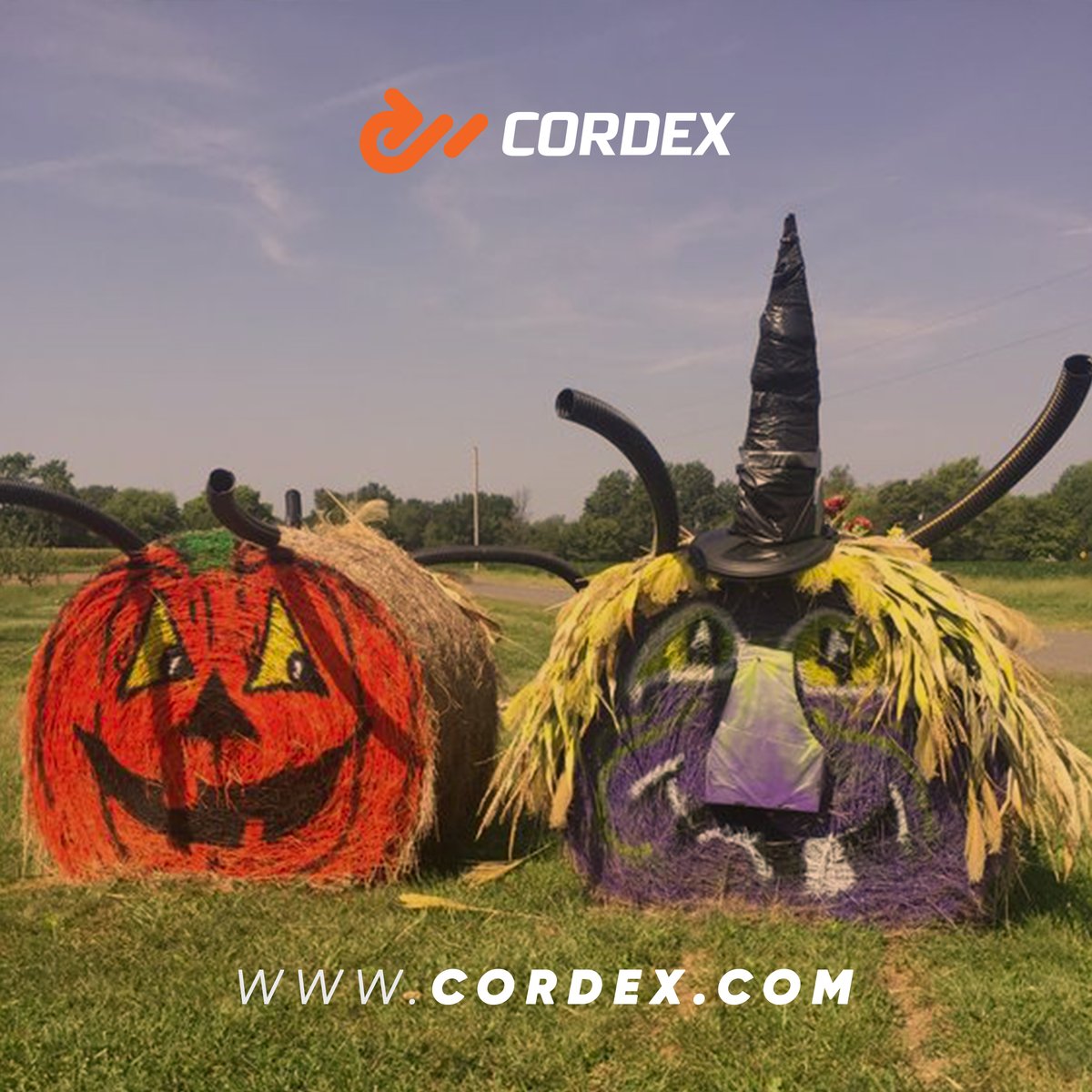 cordexofficial's tweet photo. We at Cordex would like to wish all our clients, fans and partners a 𝗛𝗮𝗽𝗽𝘆 𝗛𝗮𝗹𝗹𝗼𝘄𝗲𝗲𝗻 🎃👻
Enjoy this weekend ahead having fun around your loved ones!
Share #WithCordex your Halloween traditions! 🎃
#Halloween #Cordex #CordexAgri #BaleWithUltimateStrength #One4All https://t.co/aoxxnvaZXo