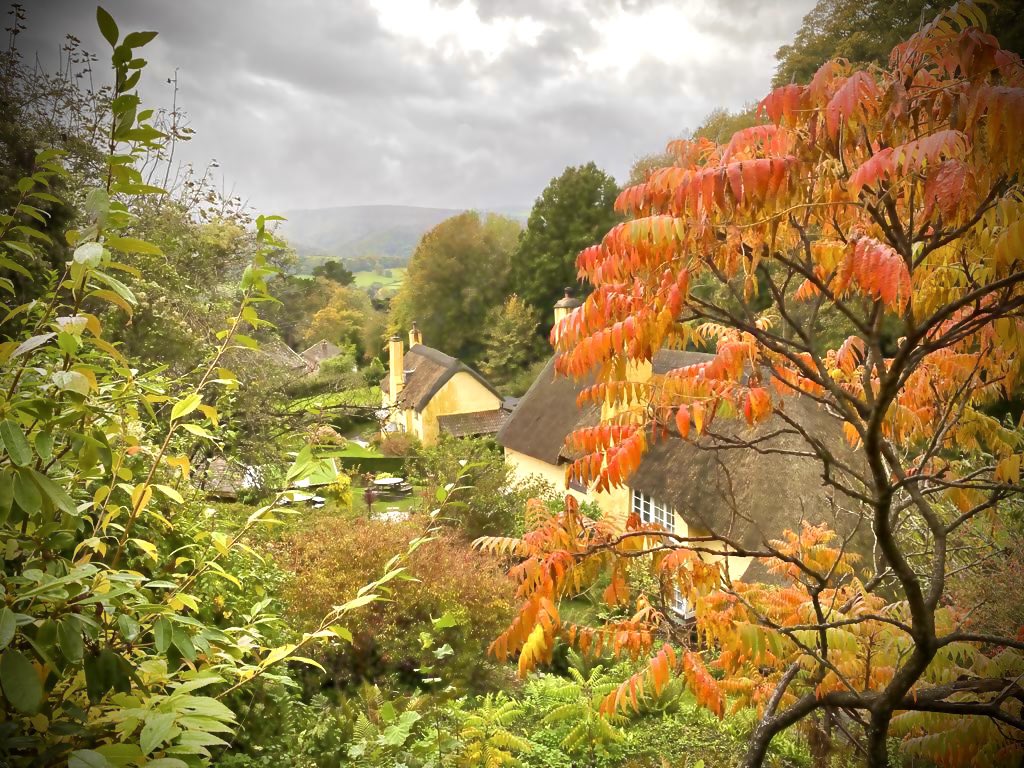 PeriwinkleCott1's tweet image. Well we’ve made it to the the final weekend of our 2020 season. It’s been such a bizarre year. Don’t really need to explain why. We have done our very best to create a #COVID19 safe environment that didn’t detract from our beautiful location and I think we may have just done it!